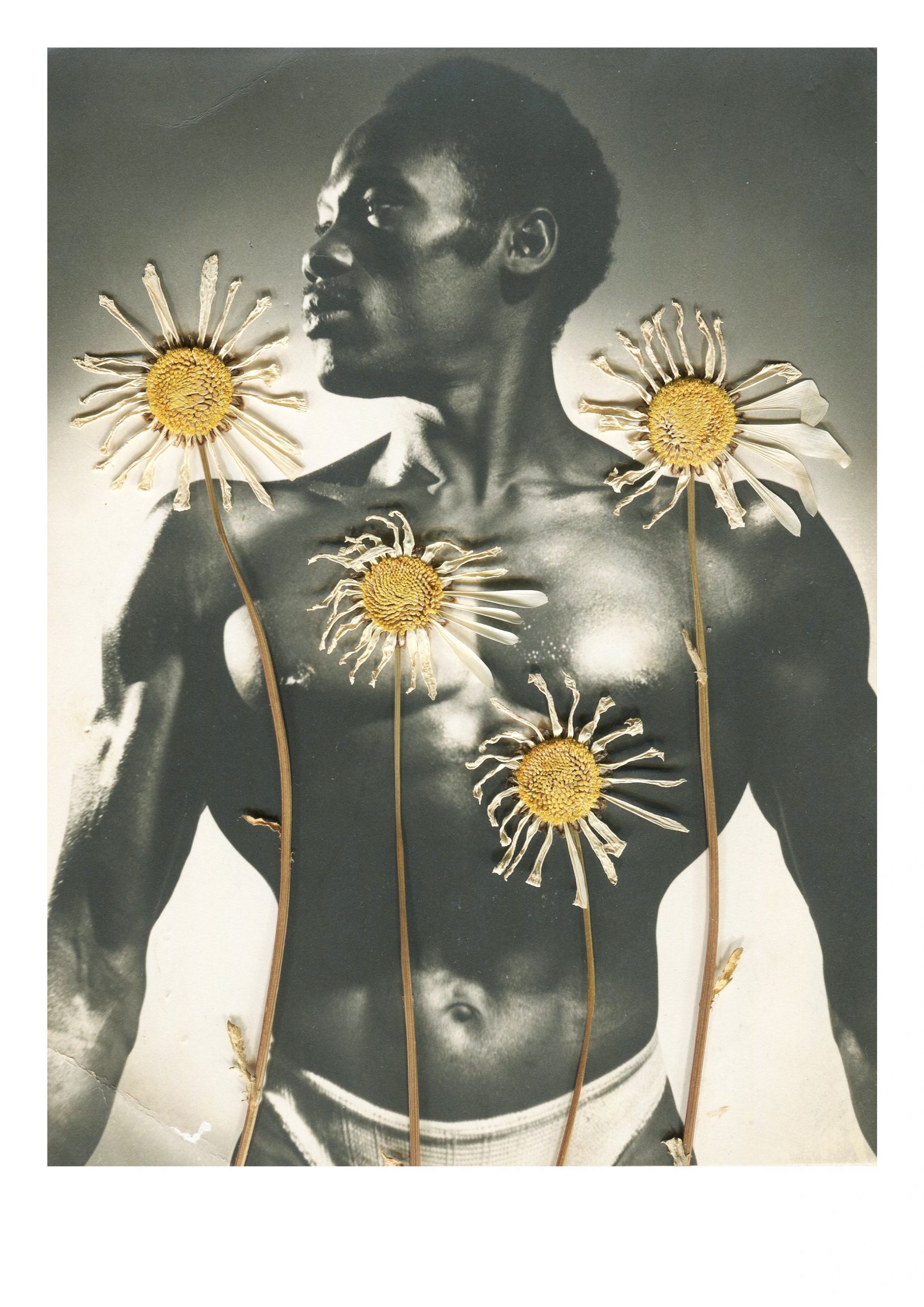 Bodybloem+No+1.2