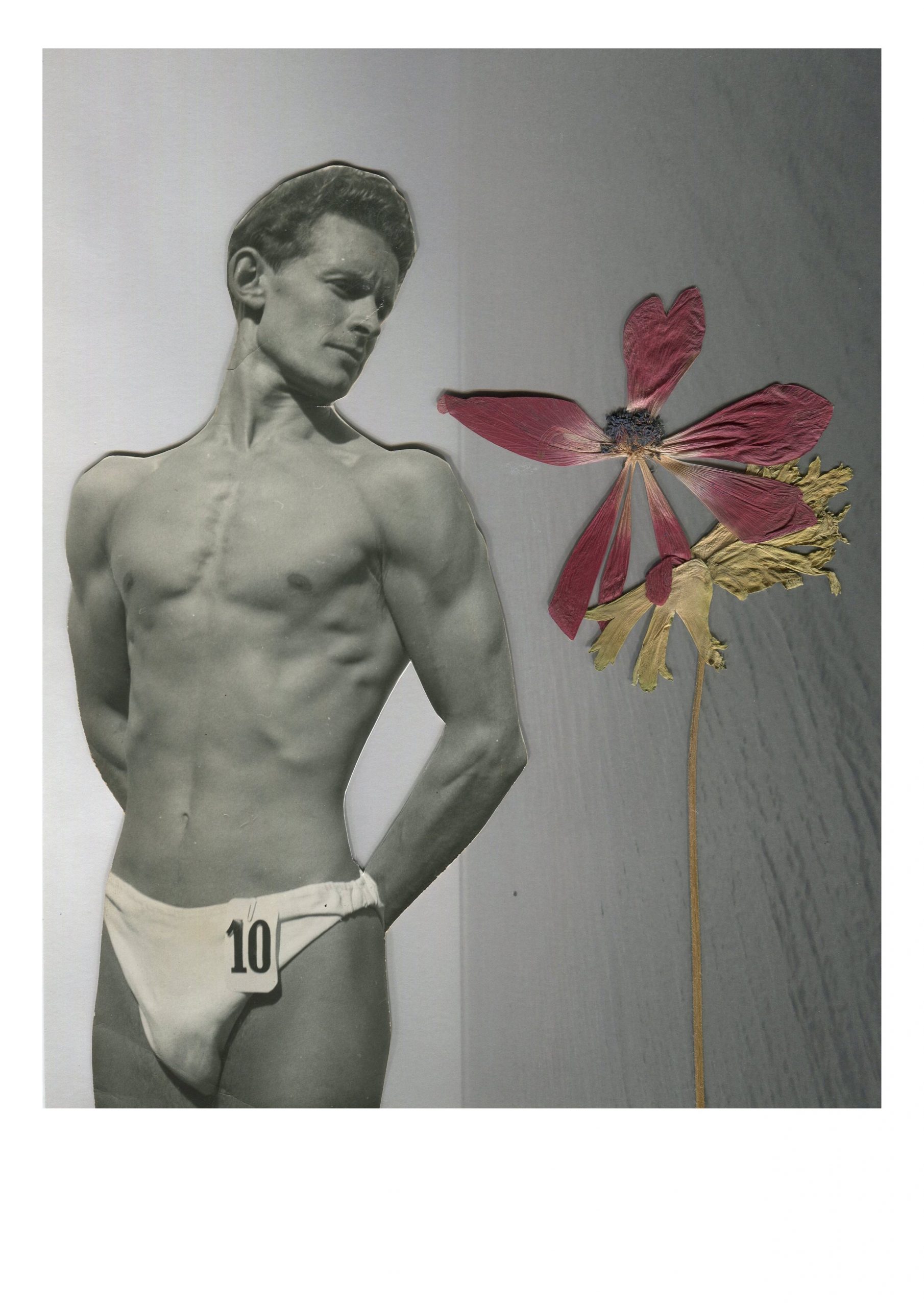 Bodybloem+No+2