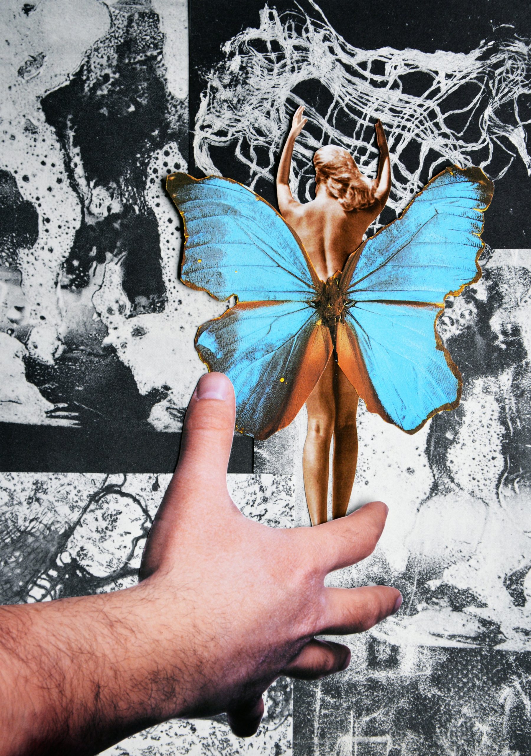 Released+into+captivity