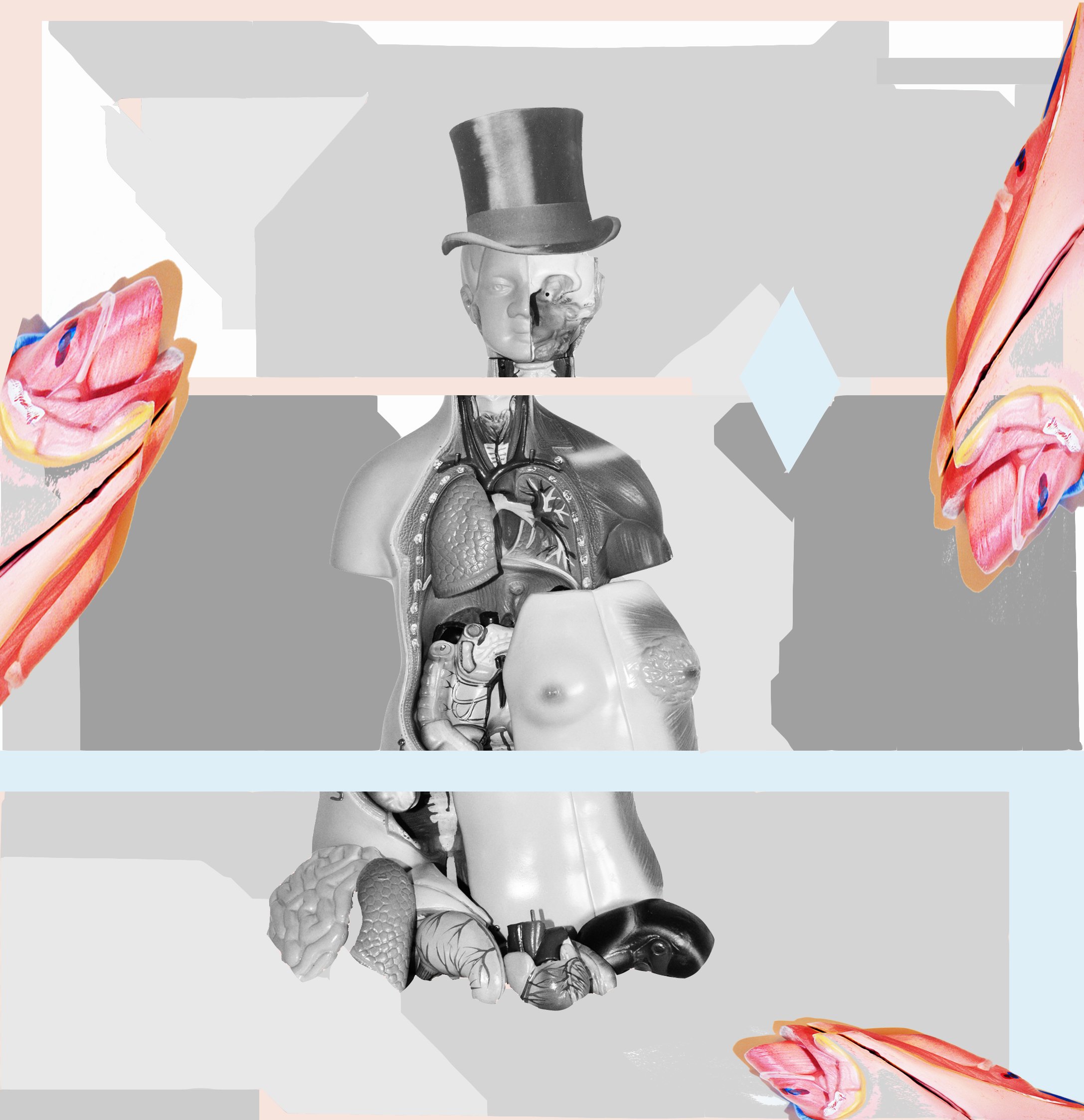 feminism+is+not+interesting+for+the+art+market+so+I+show+you